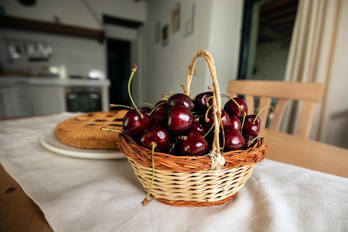 Apartmán Piancasalemia Londa Exteriér fotografie